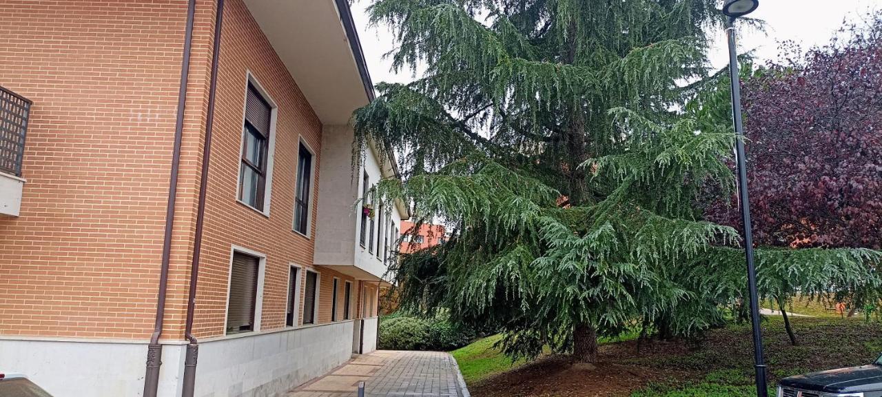 Apartment Go- La Ermita -parking Gratuito *